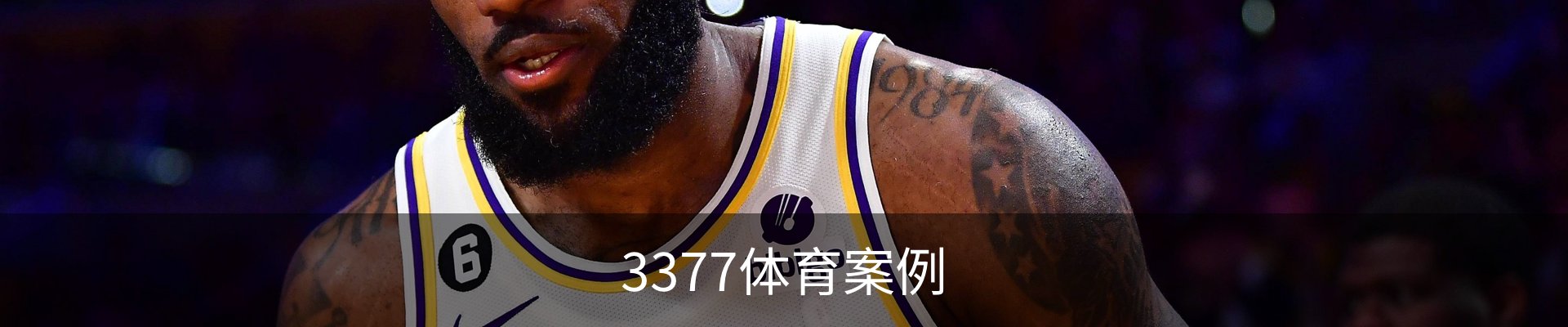 3377体育案例